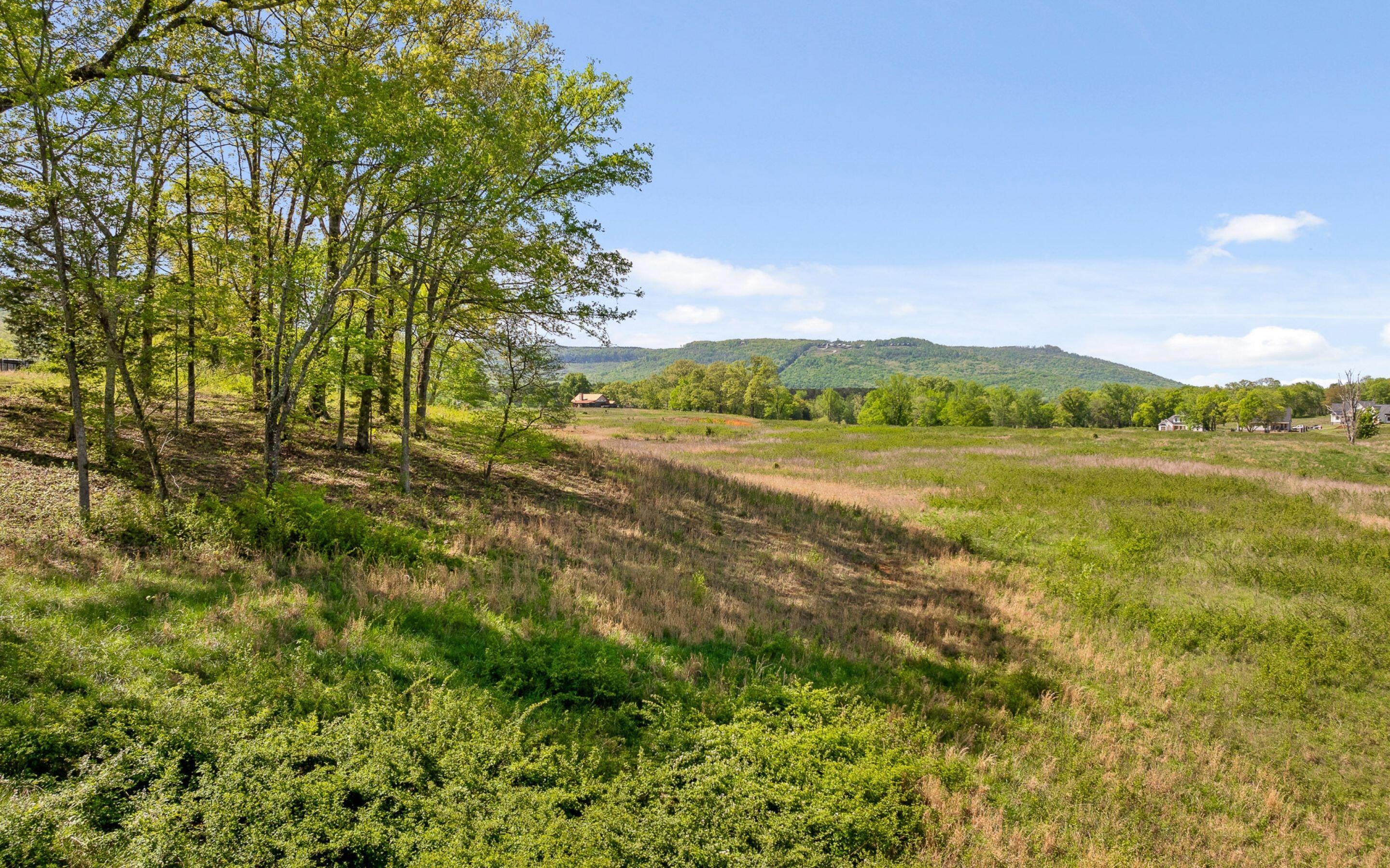 0 Edgewater Way, Unit 144 Jasper, TN 37347 - Photo 3 of 26 Gently Rolling Acreage