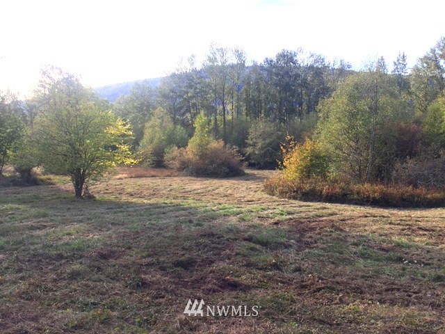 0 Squalicum Lake Road Bellingham, WA 98226 - Photo 2 of 8 Gallery Image 2