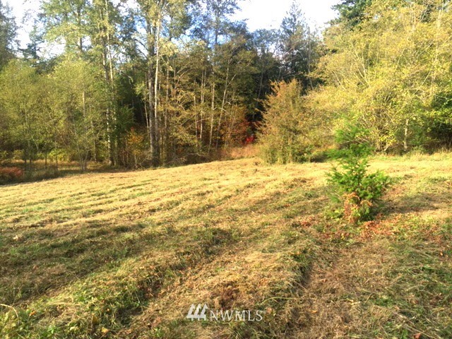 0 Squalicum Lake Road Bellingham, WA 98226 - Photo 3 of 8 Gallery Image 3
