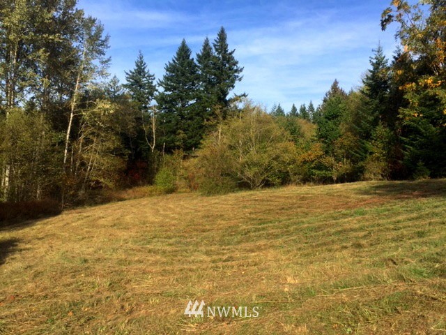 0 Squalicum Lake Road Bellingham, WA 98226 - Photo 4 of 8 Gallery Image 4