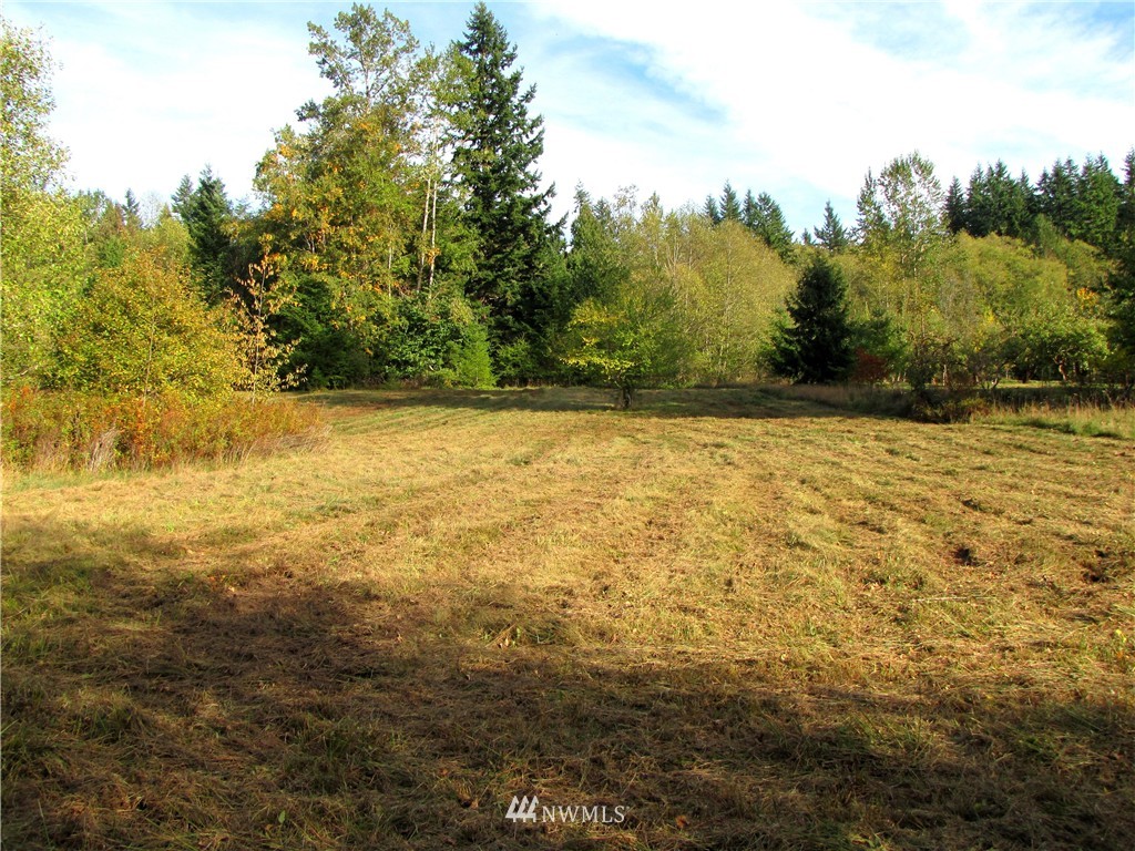0 Squalicum Lake Road Bellingham, WA 98226 - Photo 5 of 8 Gallery Image 5