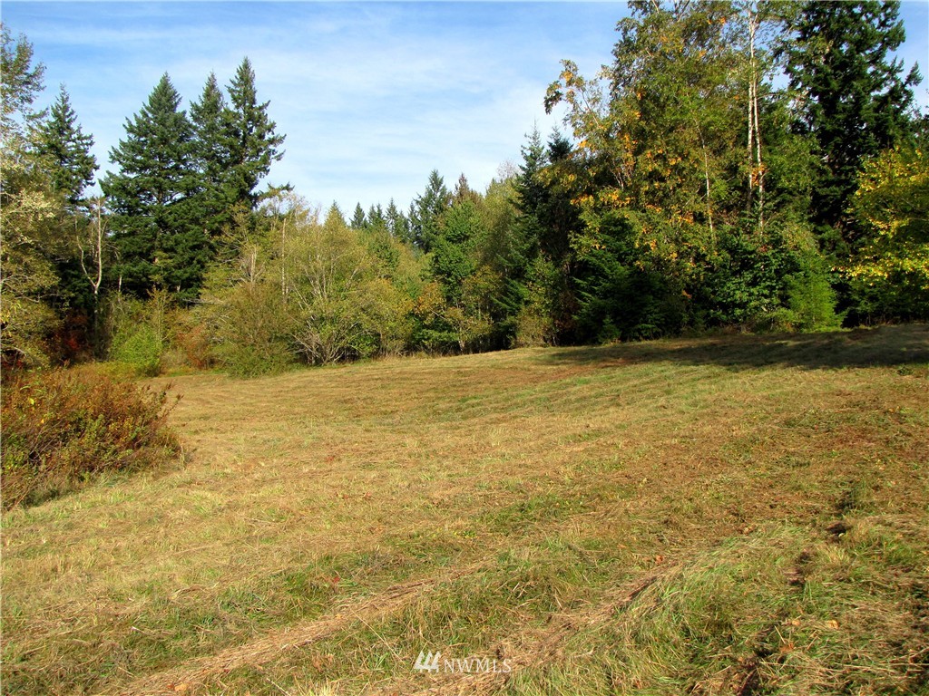 0 Squalicum Lake Road Bellingham, WA 98226 - Photo 6 of 8 Gallery Image 6