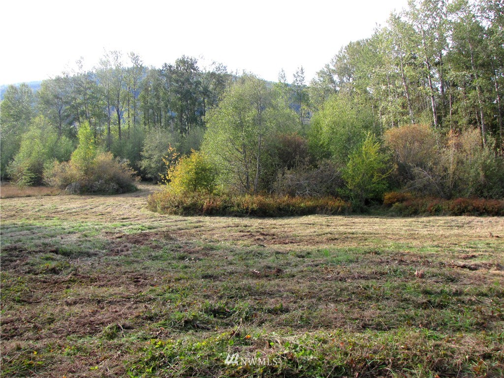 0 Squalicum Lake Road Bellingham, WA 98226 - Photo 7 of 8 Gallery Image 7