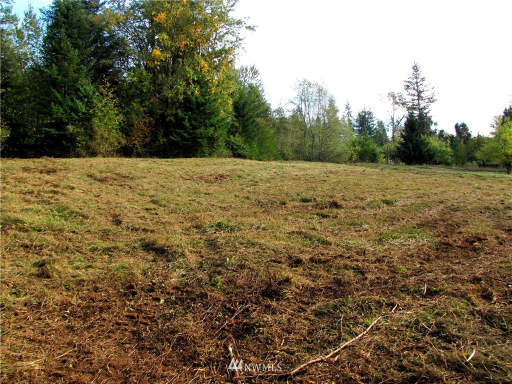 0 Squalicum Lake Road Bellingham, WA 98226 - Photo 8 of 8 Gallery Image 8