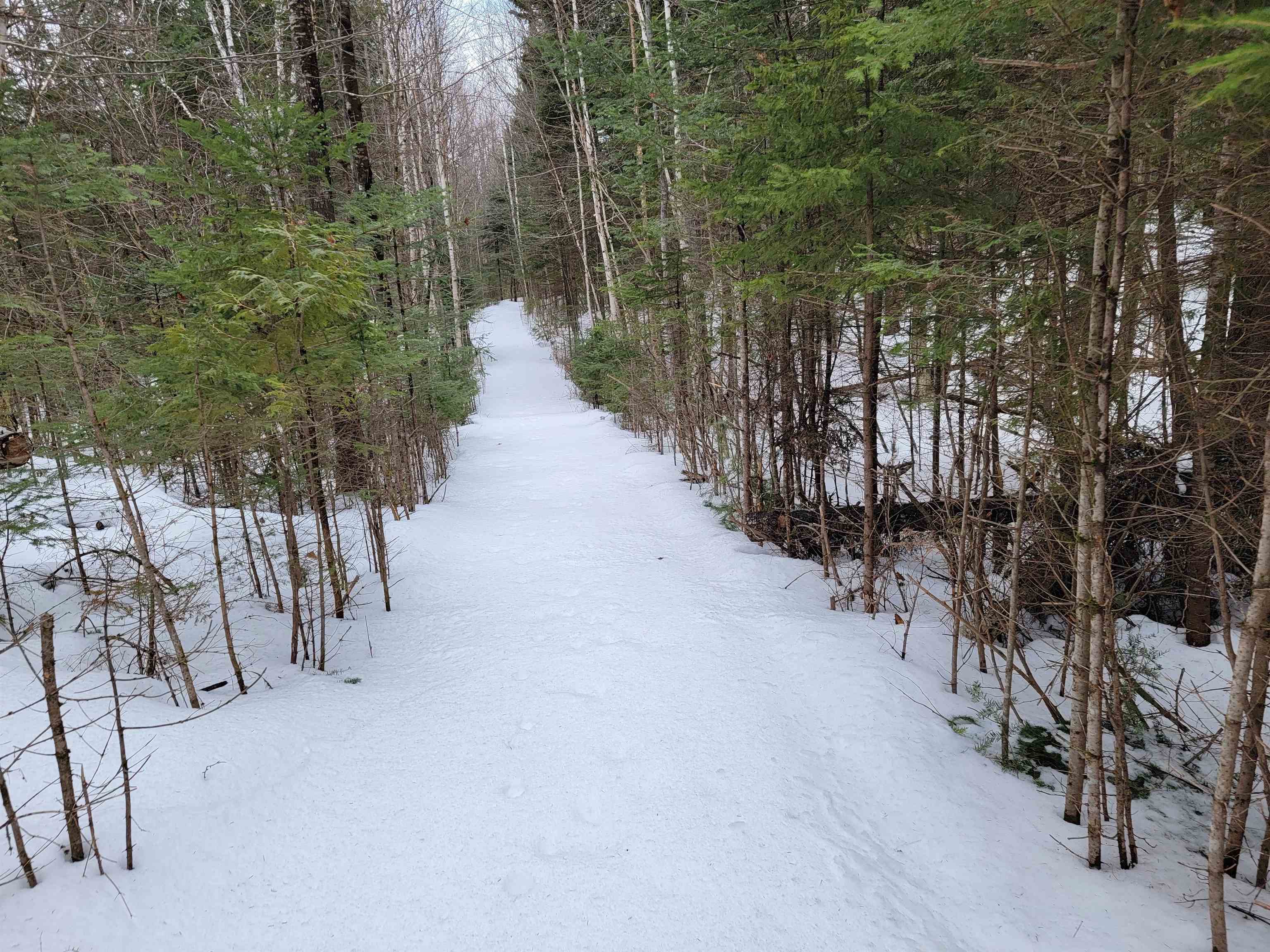 Lot 95 Lynch Road Stewartstown, NH 03576 - Photo 3 of 5
