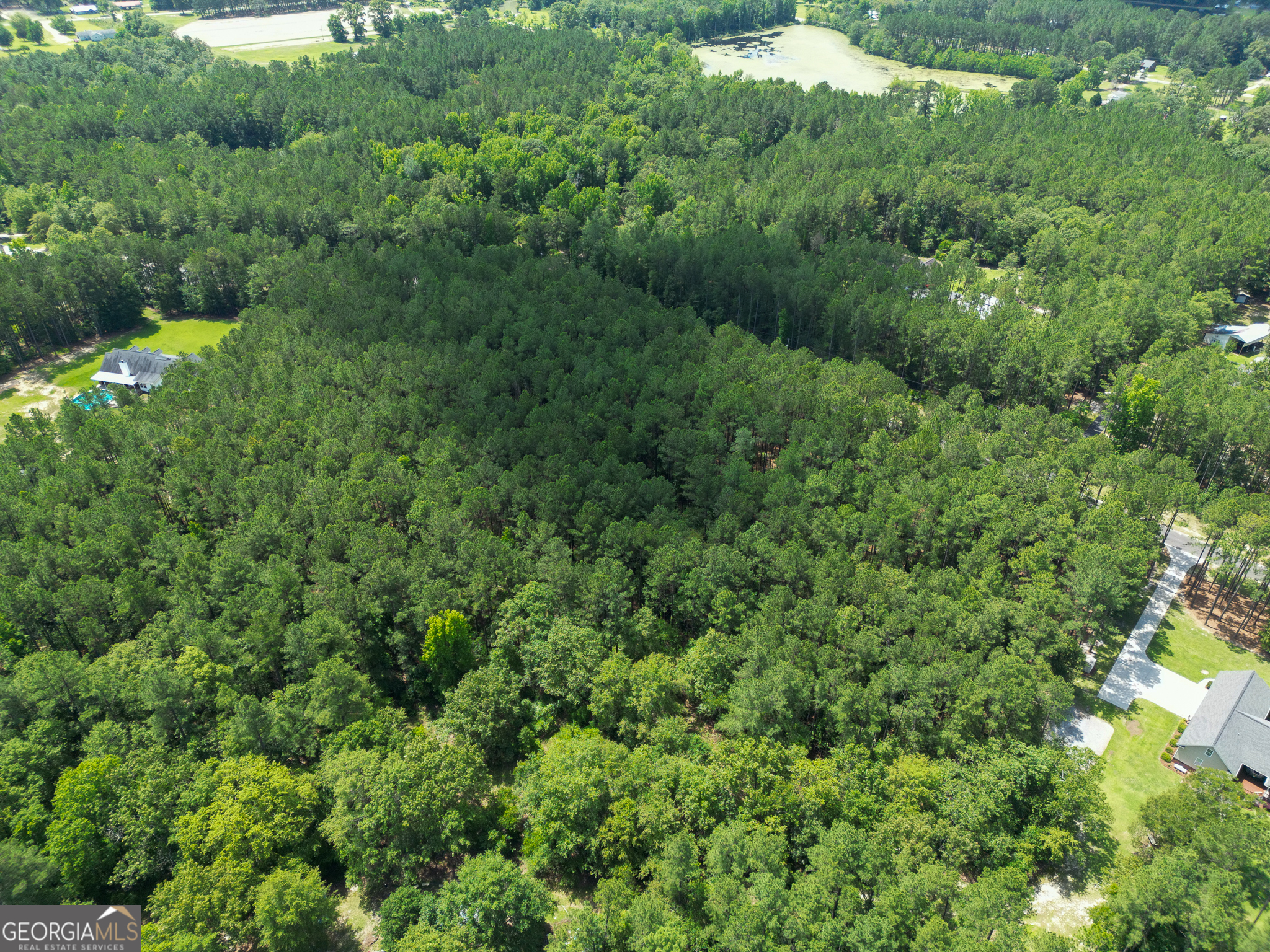 a view of a forest with a houses
