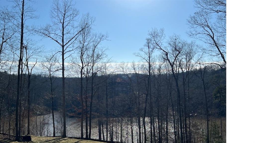 940 Purvis Road Baldwin, GA 30511 - Photo 2 of 5 a view of backyard with wooden fence and large trees