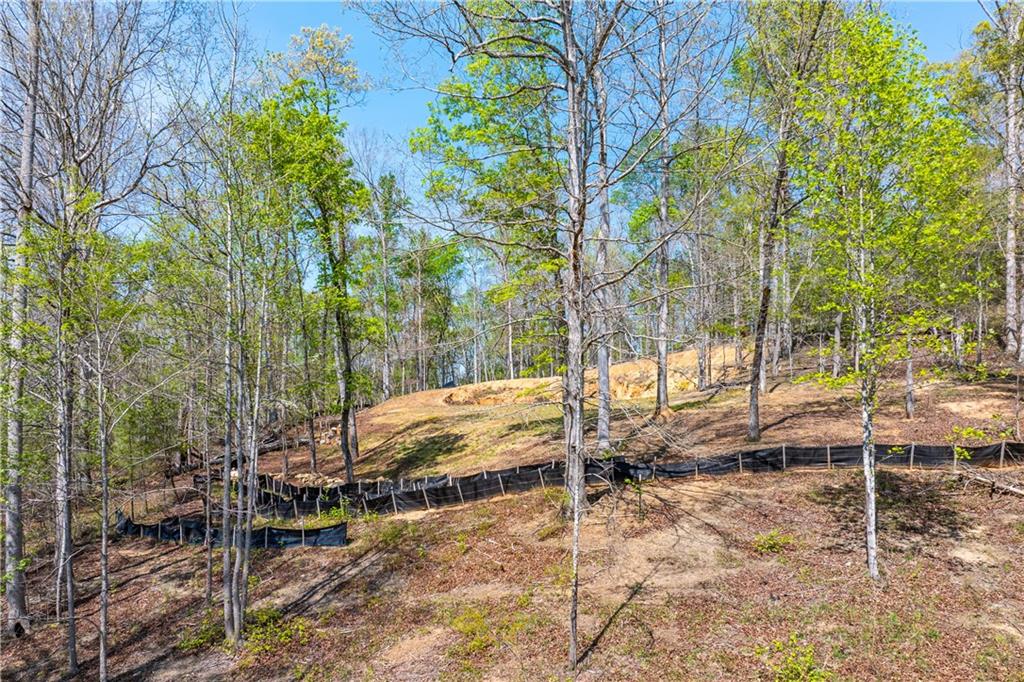 940 Purvis Road Baldwin, GA 30511 - Photo 23 of 28 a view of yard