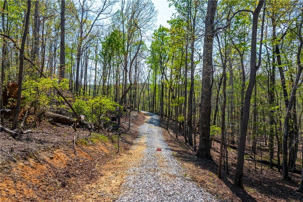 940 Purvis Road Baldwin, GA 30511 - Photo 25 of 28 a view of a backyard