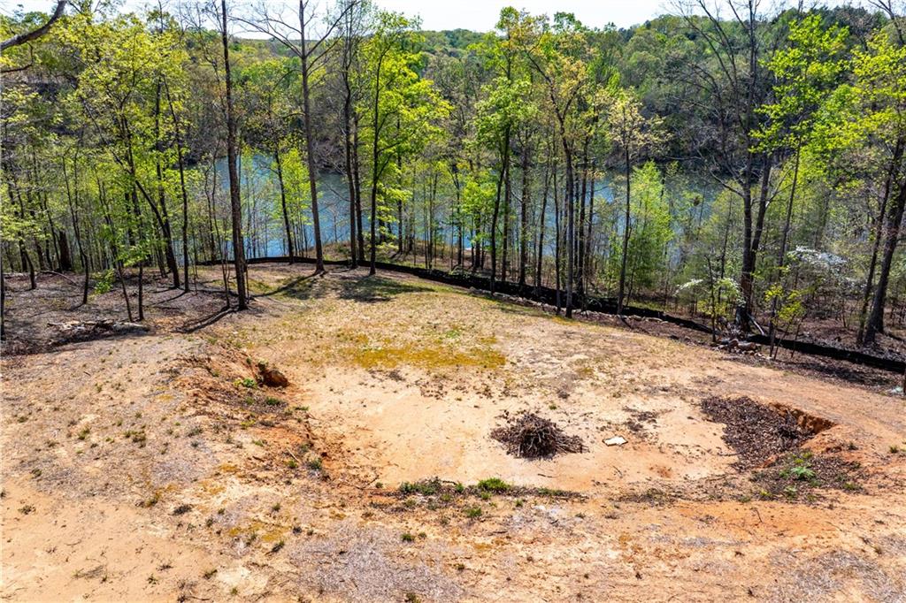 940 Purvis Road Baldwin, GA 30511 - Photo 28 of 28 a view of backyard with trees