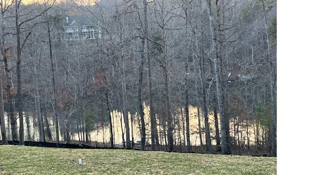 940 Purvis Road Baldwin, GA 30511 - Photo 4 of 5 a view of a yard