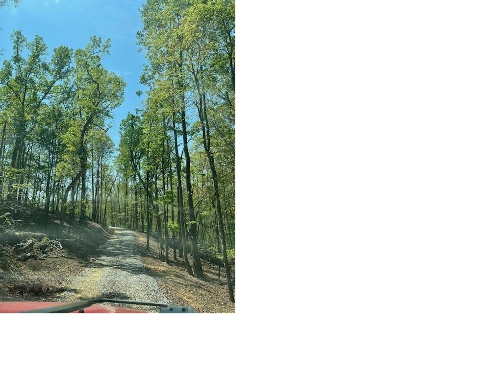 940 Purvis Road Baldwin, GA 30511 - Photo 5 of 5