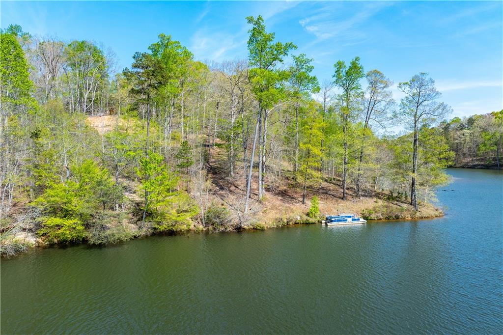 940 Purvis Road Baldwin, GA 30511 - Photo 9 of 28 a view of lake