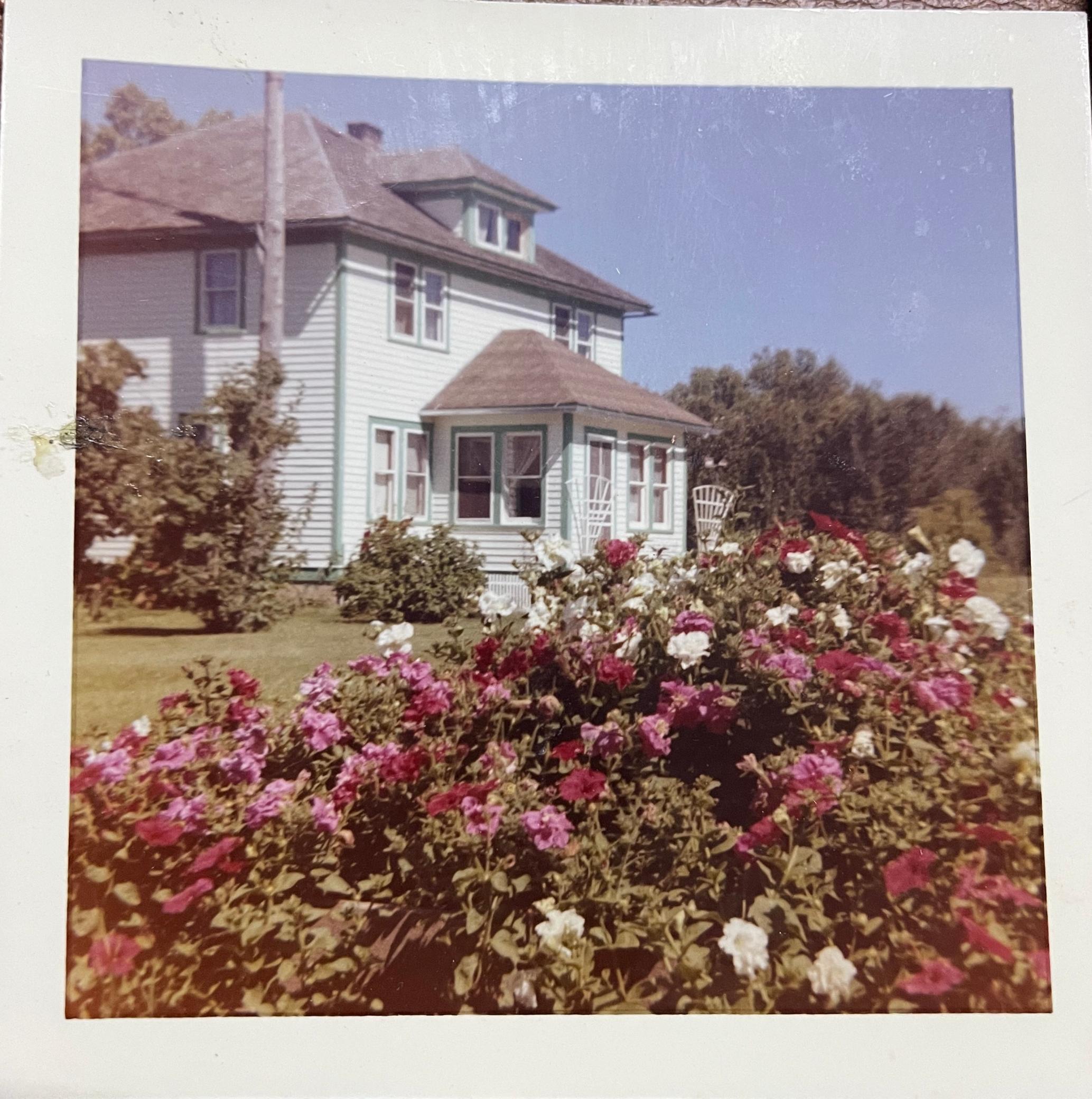 4049 County Road 79 Littlefork, MN 56653 - Photo 14 of 28