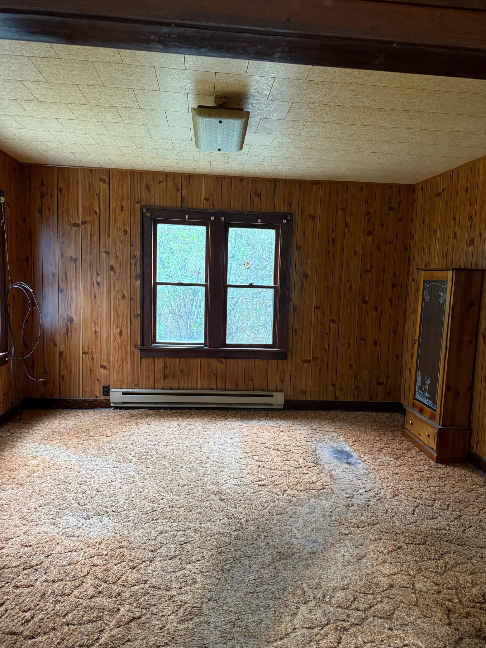 4049 County Road 79 Littlefork, MN 56653 - Photo 27 of 28