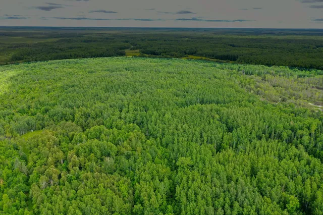 $724,900 | 4049 County Road 79, Littlefork, MN 56653