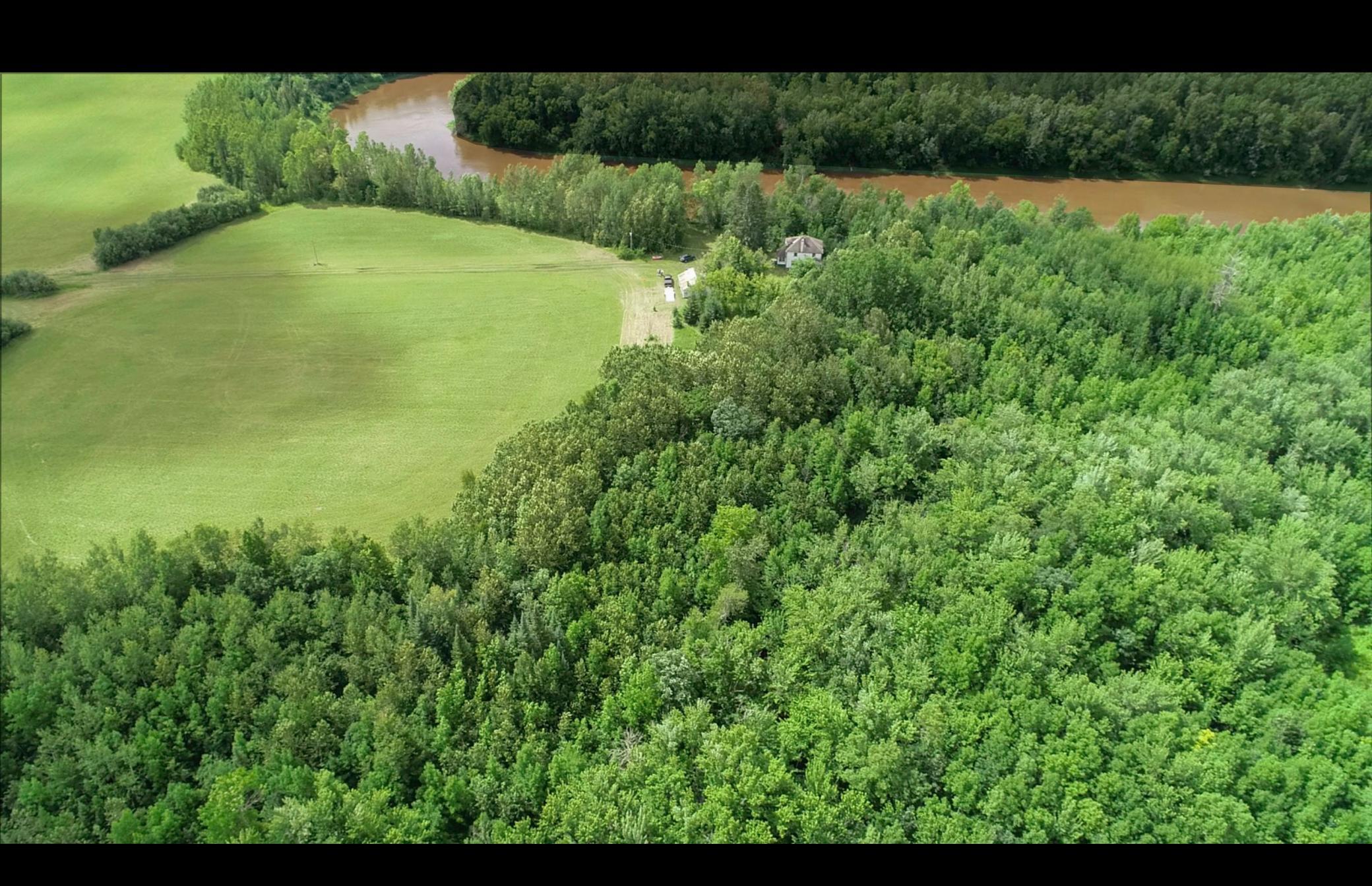 4049 County Road 79 Littlefork, MN 56653 - Photo 6 of 28