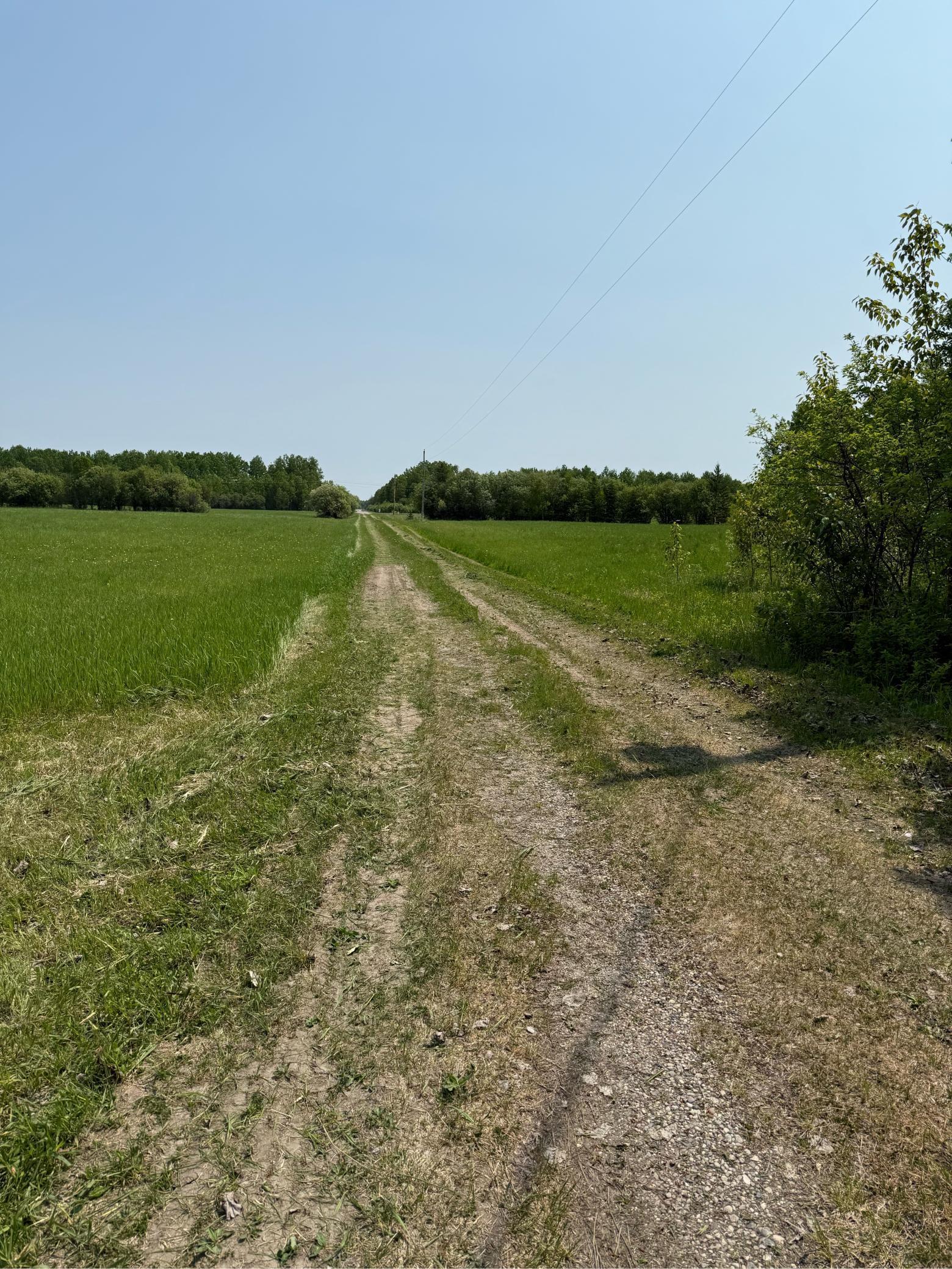 4049 County Road 79 Littlefork, MN 56653 - Photo 8 of 28