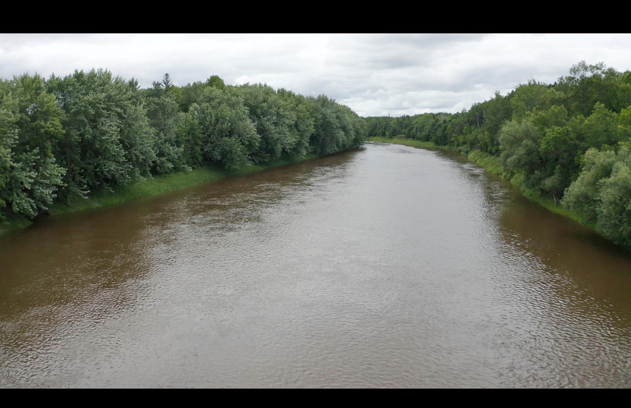 4049 County Road 79 Littlefork, MN 56653 - Photo 10 of 28
