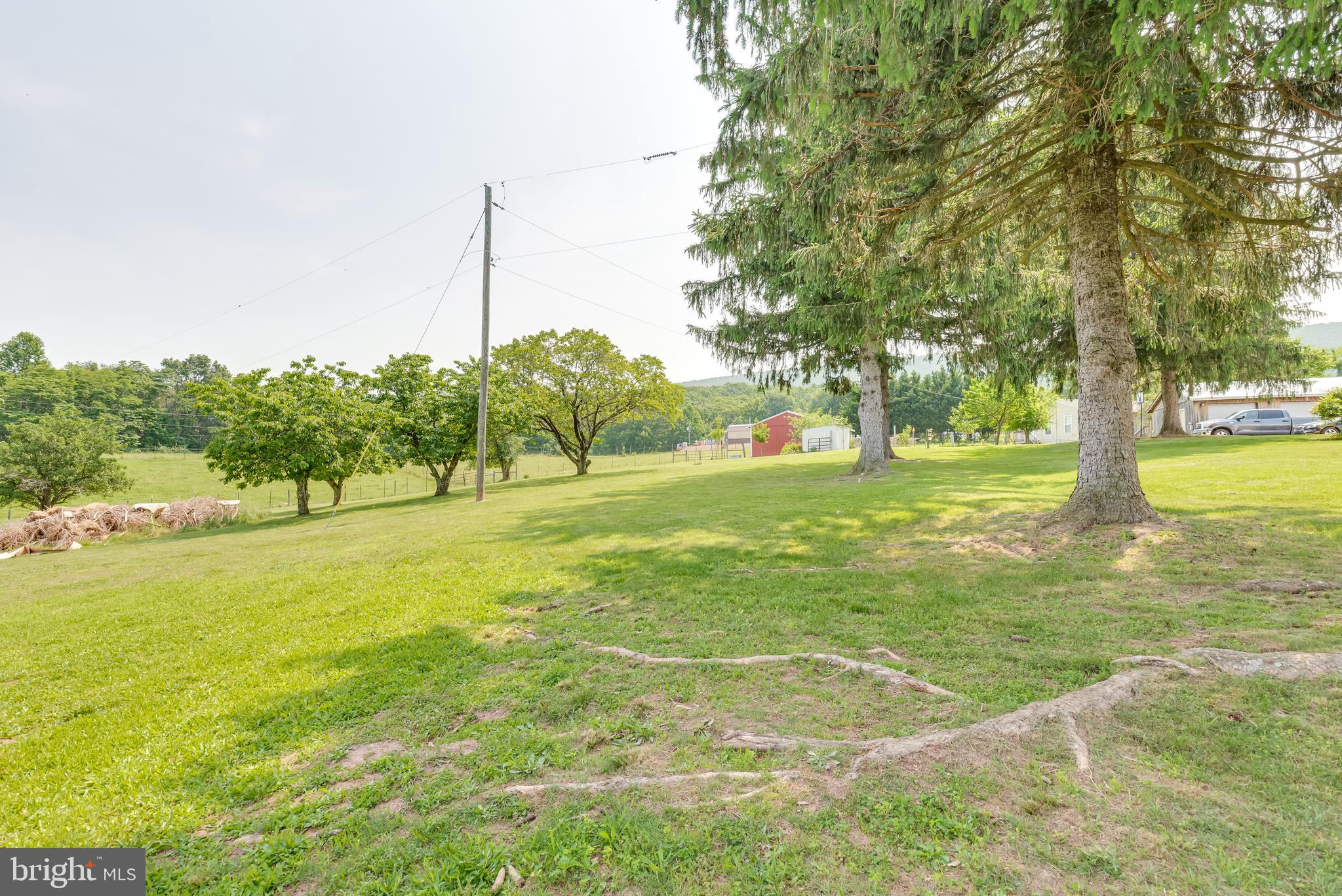 1268 Duckwall Road Berkeley Springs, WV 25411 - Photo 60 of 71 Grassy level land w/ mature trees throughout