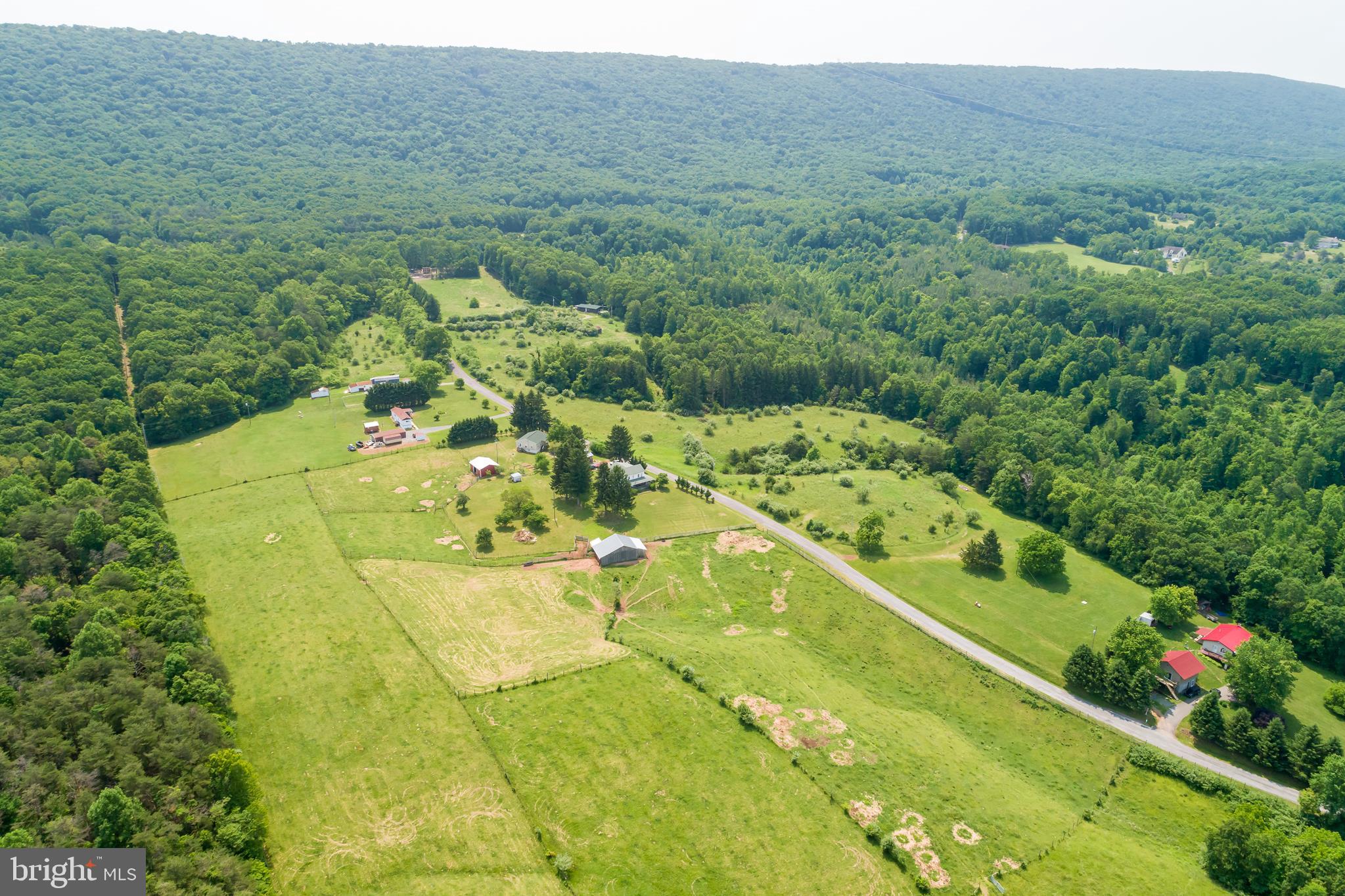 1268 Duckwall Road Berkeley Springs, WV 25411 - Photo 63 of 71 Grassy and level, surrounded by mature trees