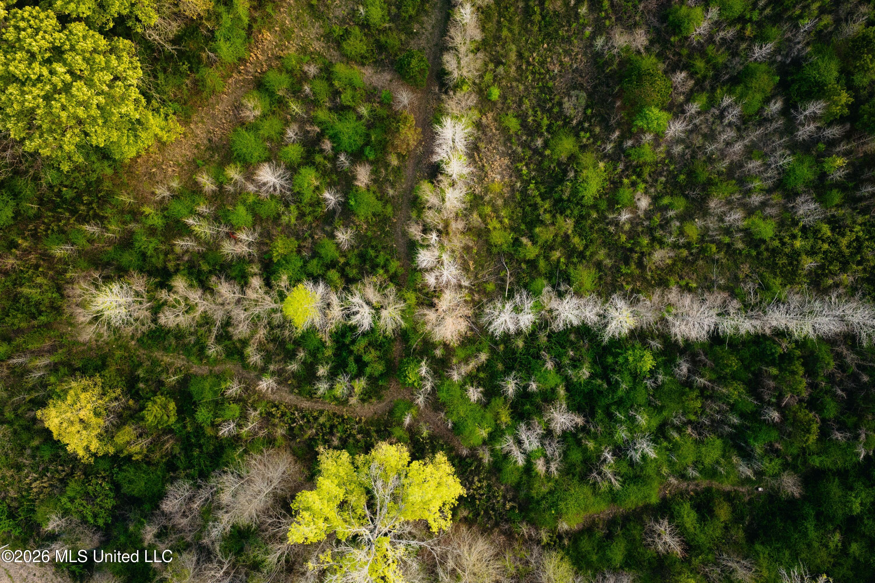 1844 Volley Campbell Road Terry, MS 39170 - Photo 65 of 81 DJI_20260324072300_0203_D
