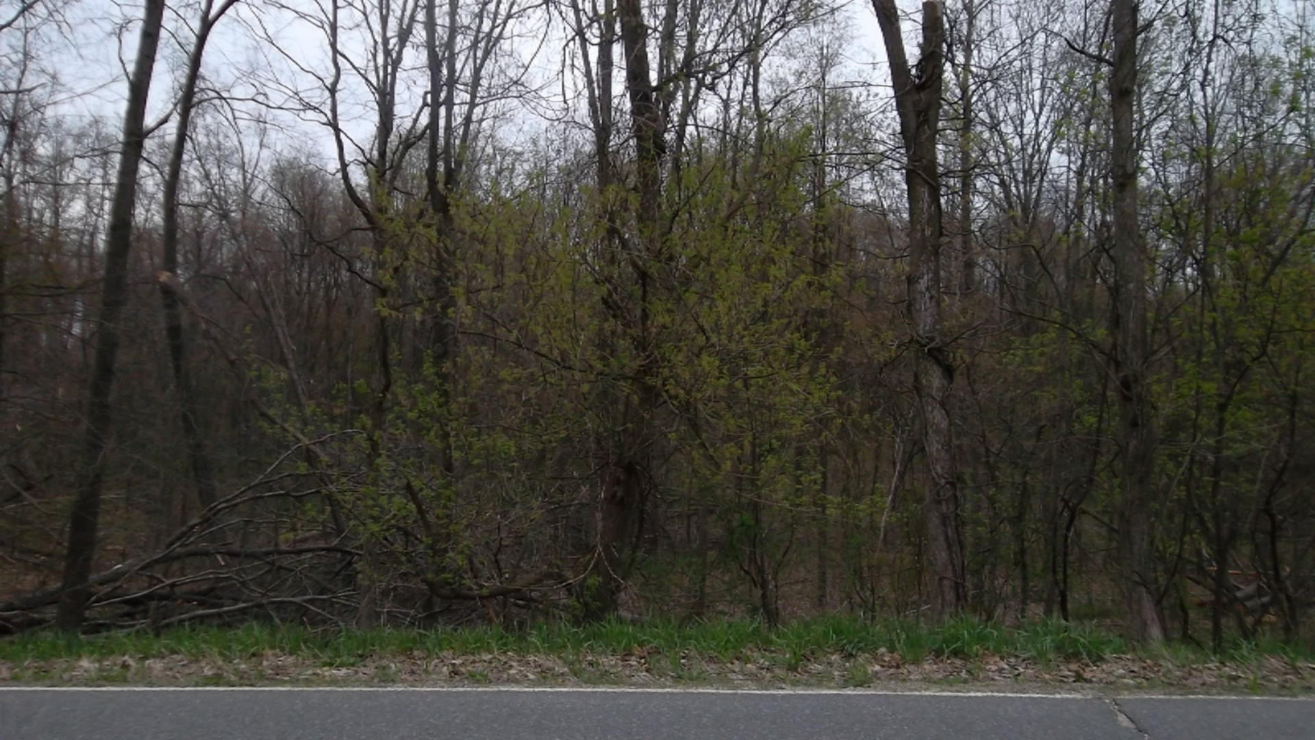 Kingsbury Road Delton, MI 49046 - Photo 1 of 2 007