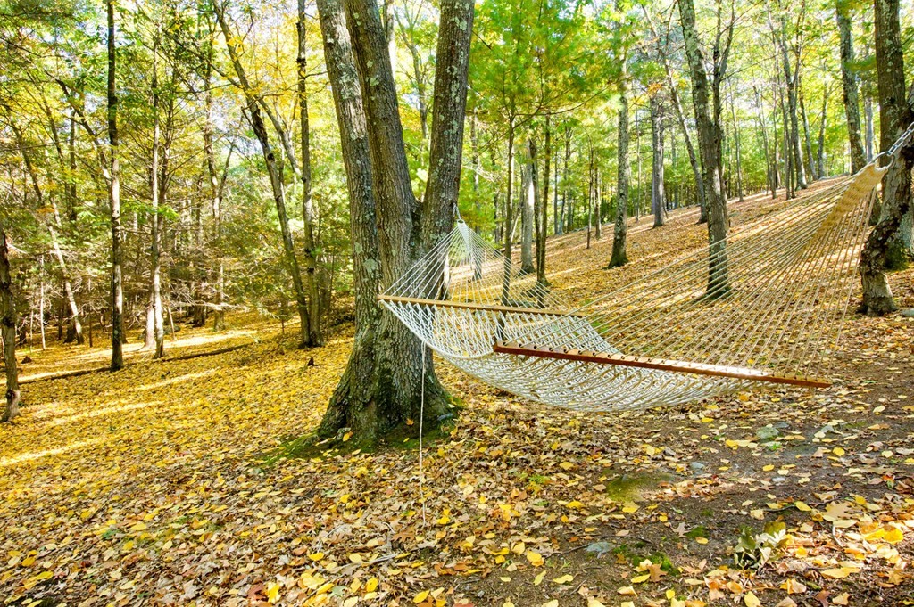 103 Vaughn Hill Road Bolton, MA 01740 - Photo 15 of 20 Gallery Image 15