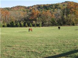 4336 Peytonsville-Trinity Road, Unit P1 Franklin, TN 37064 - Photo 1 of 13 a view of outdoor space with garden and trees