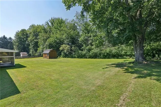a view of a yard with a trees