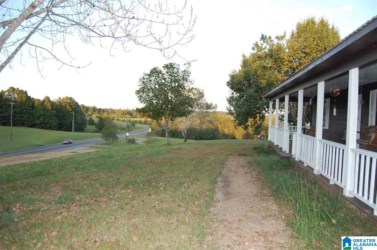 4464 Warrior Jasper Road Dora, AL 35062 - Photo 3 of 18