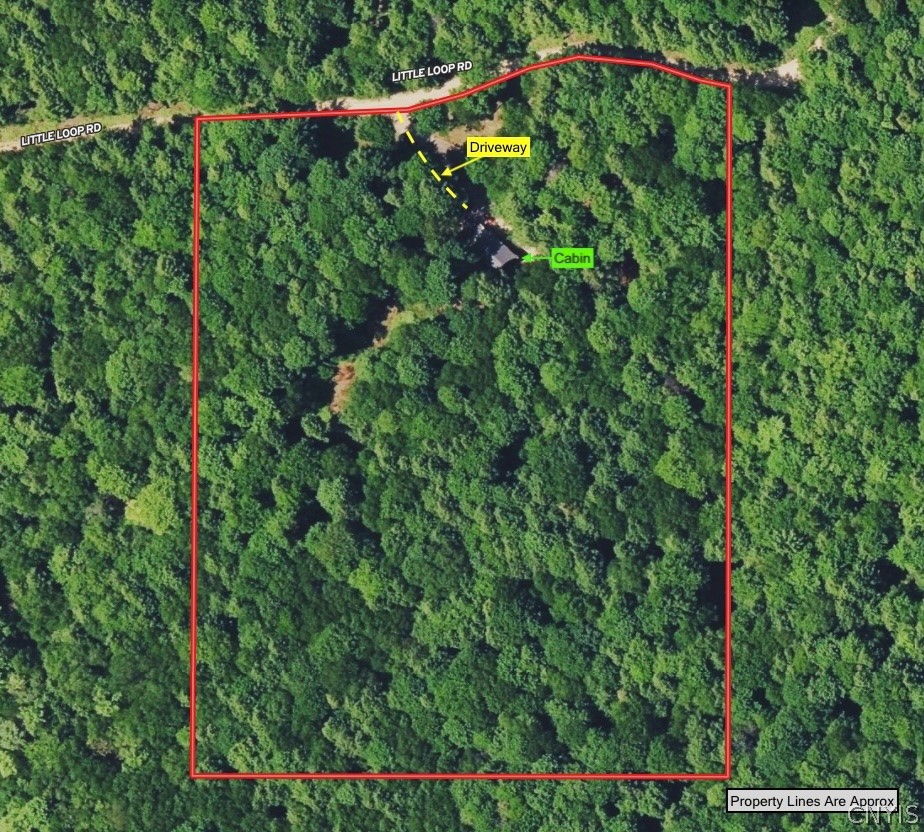 1209 Little Loop Road Portville, NY 14760 - Photo 2 of 50