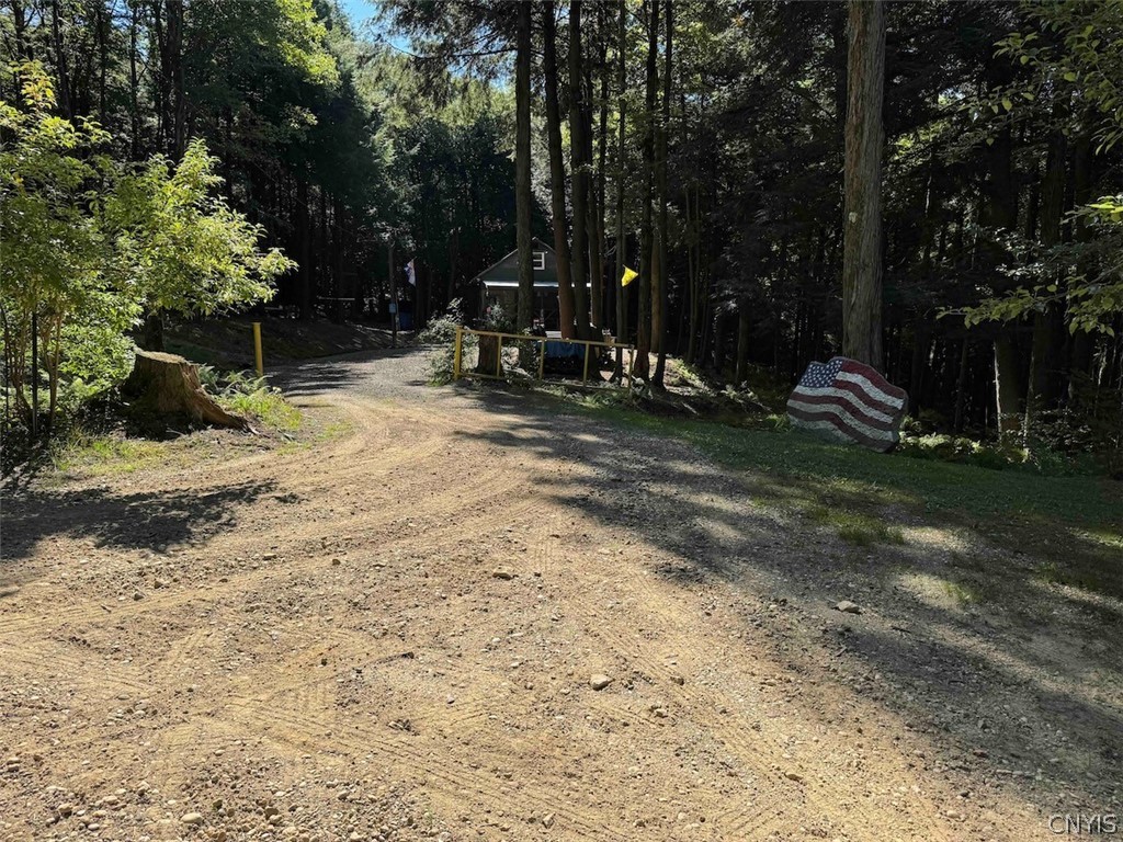 1209 Little Loop Road Portville, NY 14760 - Photo 38 of 50