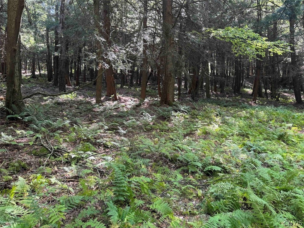 1209 Little Loop Road Portville, NY 14760 - Photo 46 of 50