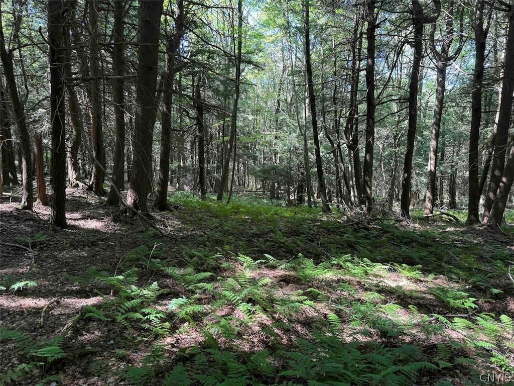 1209 Little Loop Road Portville, NY 14760 - Photo 47 of 50