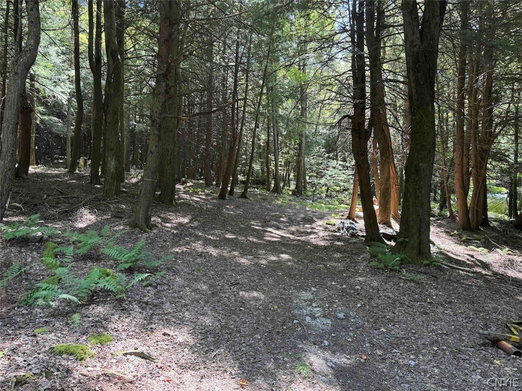 1209 Little Loop Road Portville, NY 14760 - Photo 48 of 50