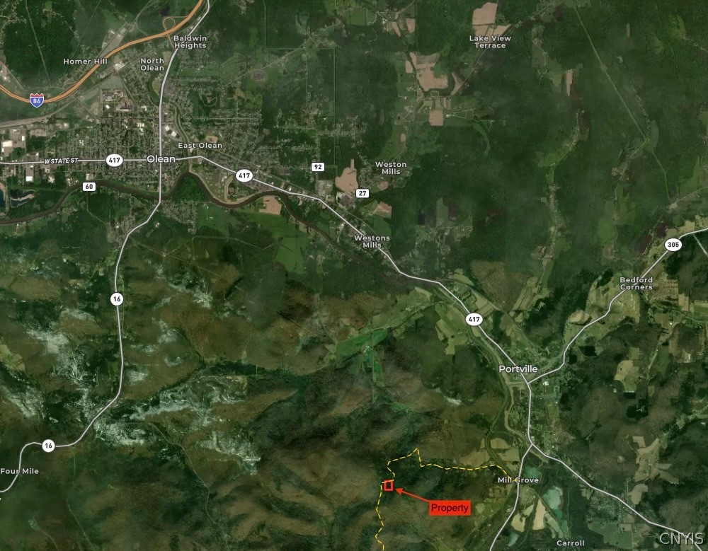 1209 Little Loop Road Portville, NY 14760 - Photo 50 of 50