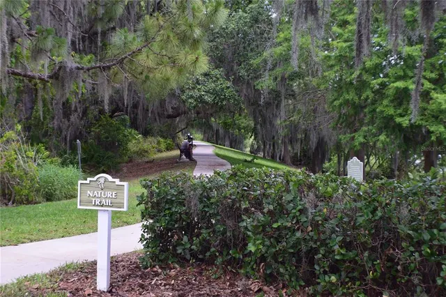 a front view of a house with a yard and tree s
