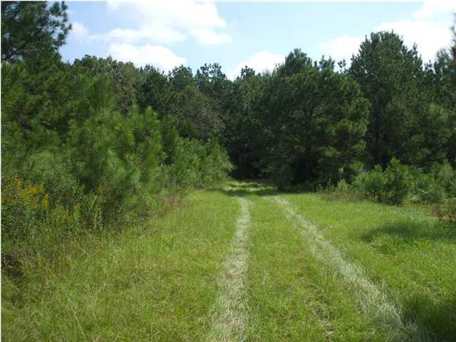 Hampton Dupre Rd Pine Prairie Ville Platte, LA 70586 - Photo 3 of 7 Additional Photo