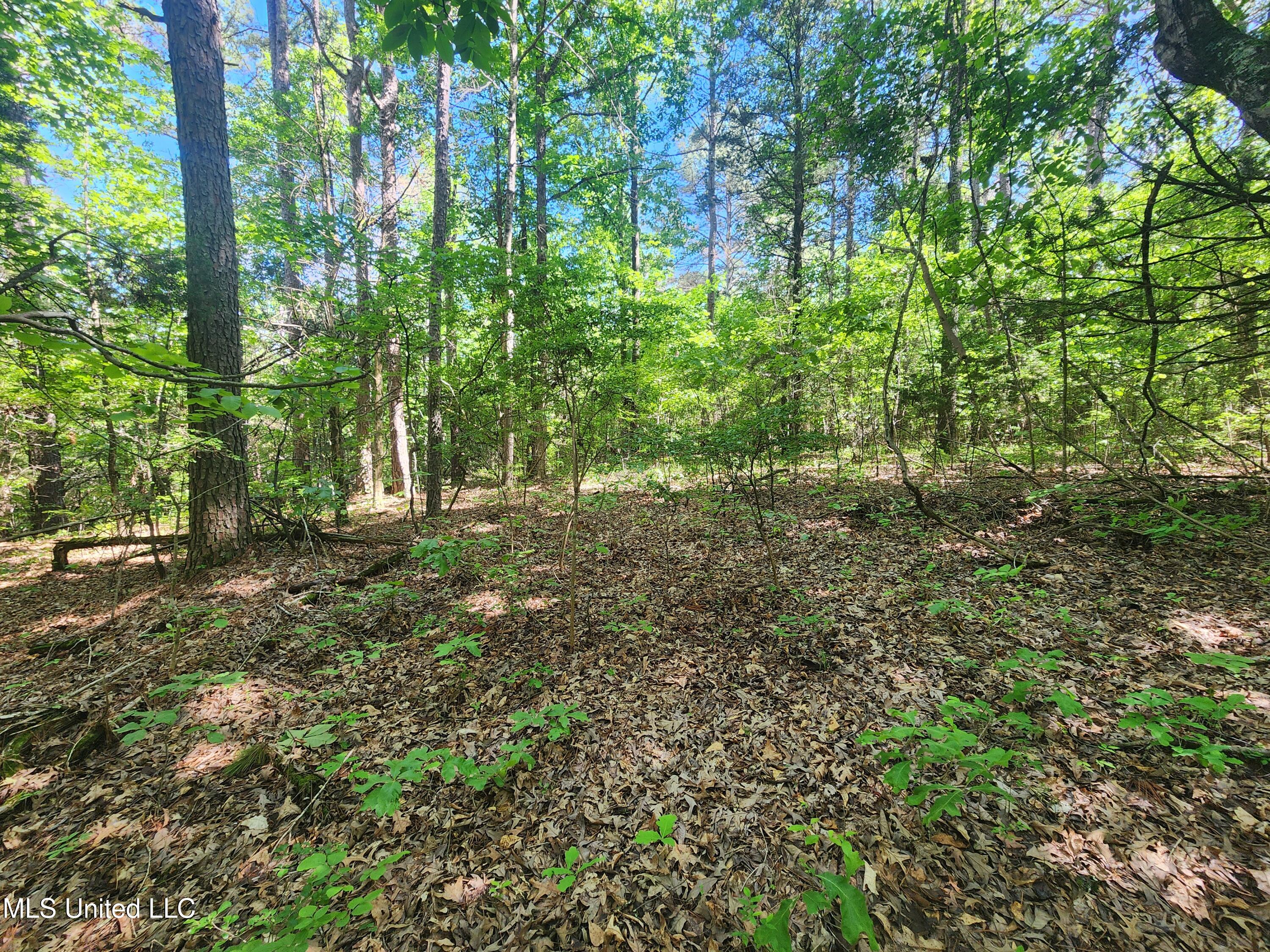 152 Mallard Road Waterford, MS 38685 - Photo 15 of 18 20250503_151943