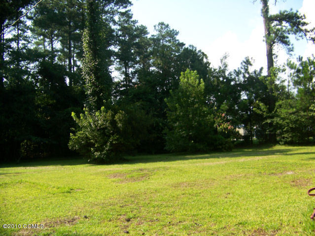 124 Queens Road Hubert, NC 28539 - Photo 2 of 5 Back Yard