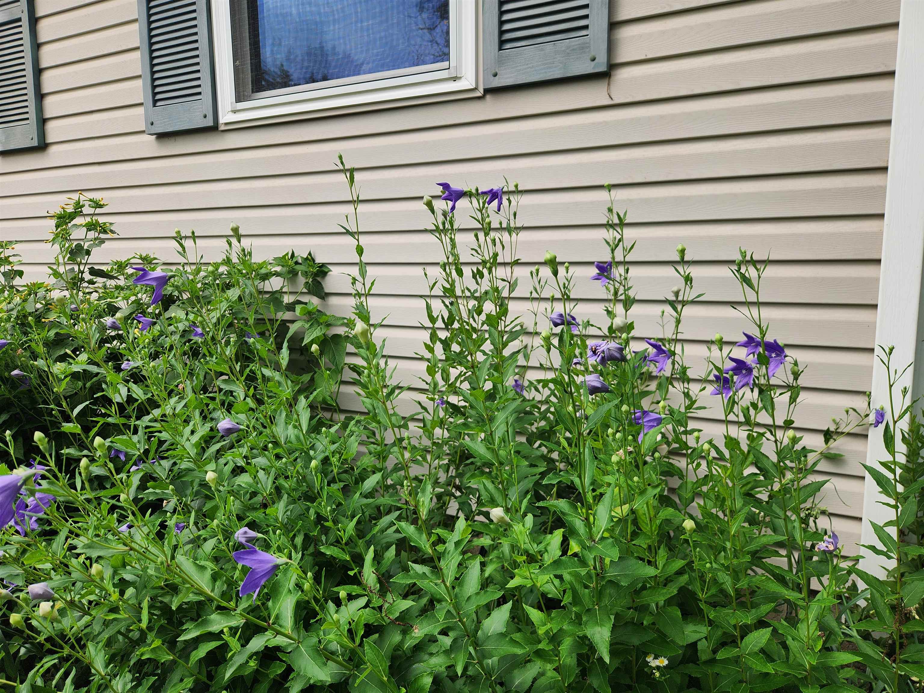 2011 Flanders Road Charlotte, MI 48813 - Photo 83 of 90