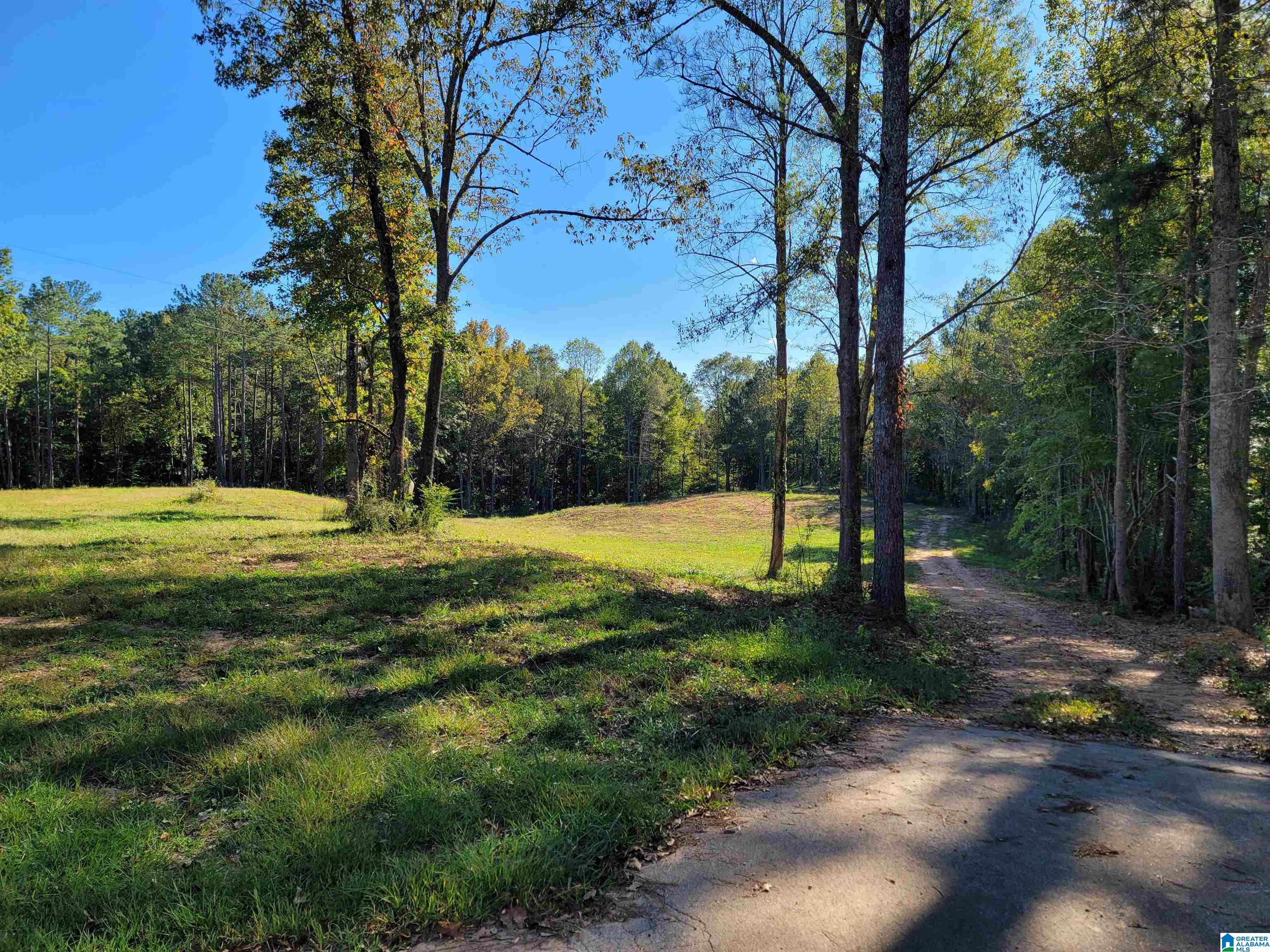 690 Tumblin Mill Road, Unit 4 ACRES Heflin, AL 36264 - Photo 2 of 6