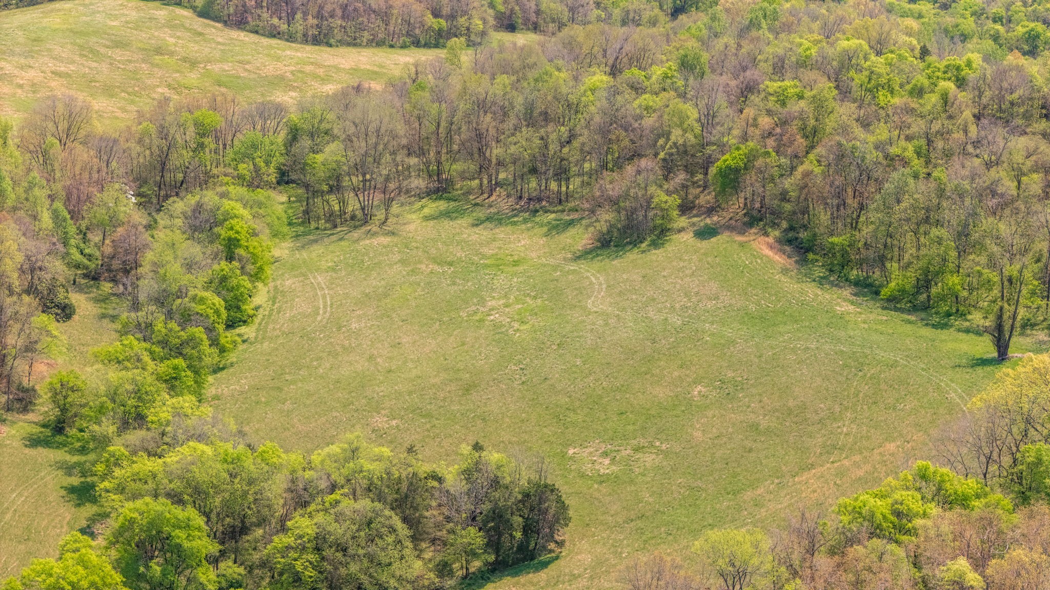 0 Whiteside Hill Road Wartrace, TN 37183 - Photo 18 of 38