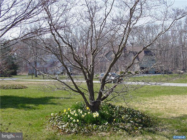 111 Lums Pond Road Bear, DE 19701 - Photo 20 of 25