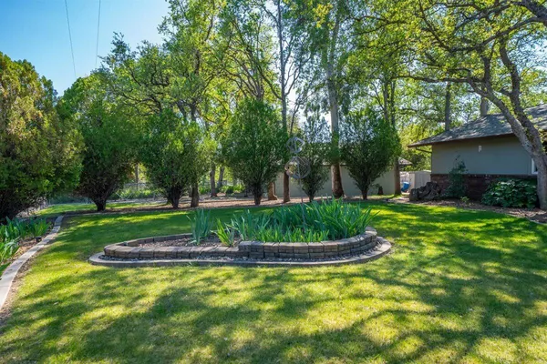 a view of a house with a yard and plants