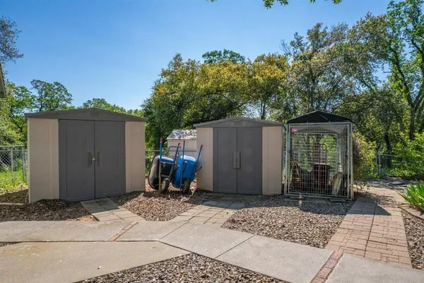 a garden with a bench and some trees