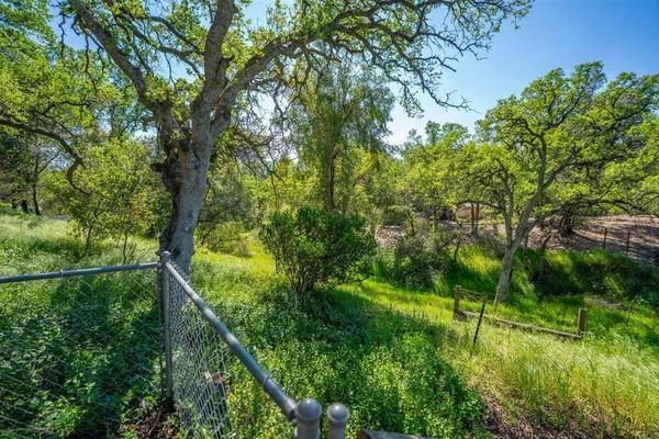 a view of yard