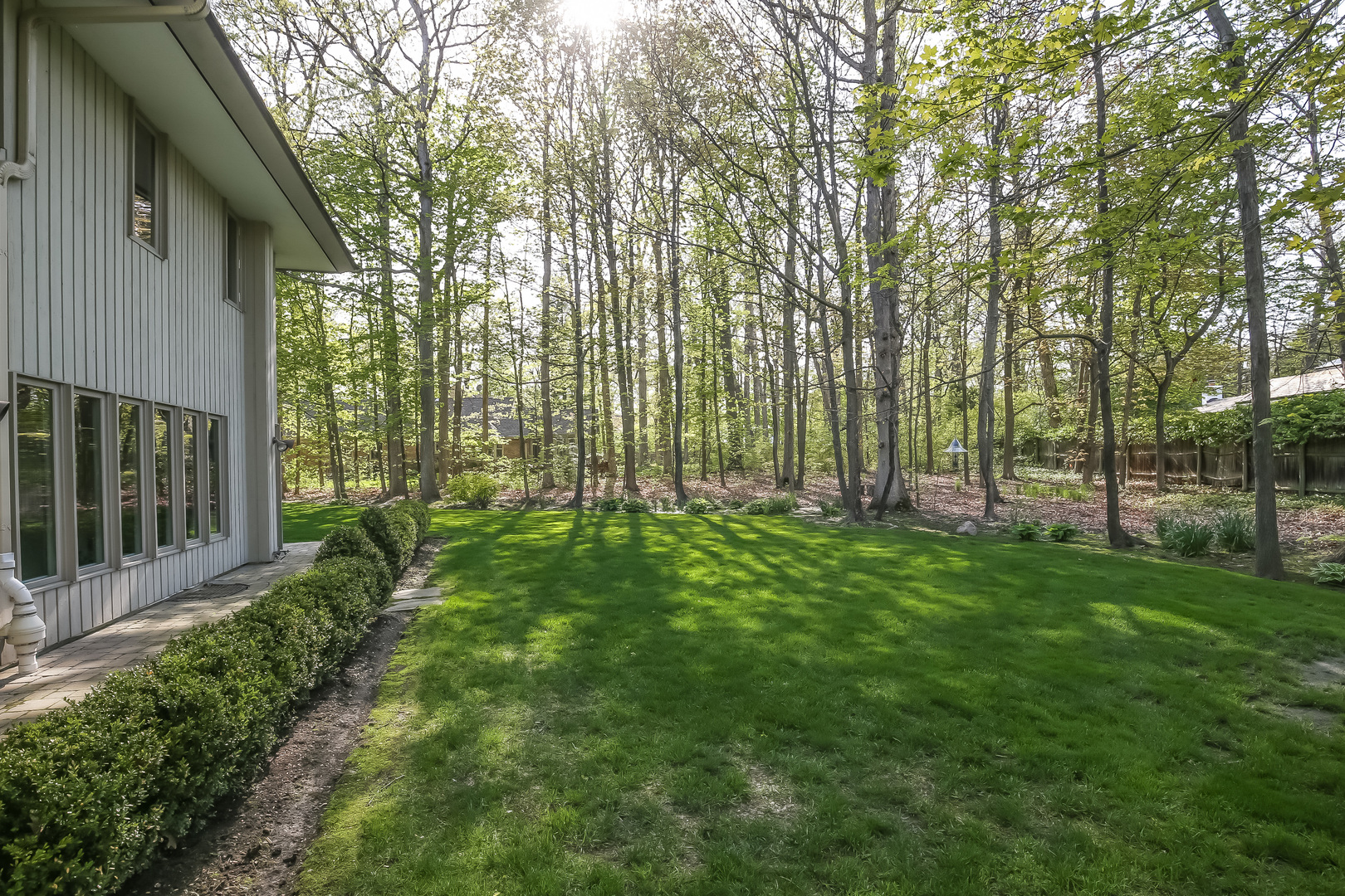 506 Forest Cove Road Lake Bluff, IL 60044 - Photo 47 of 53 a view of backyard with green space