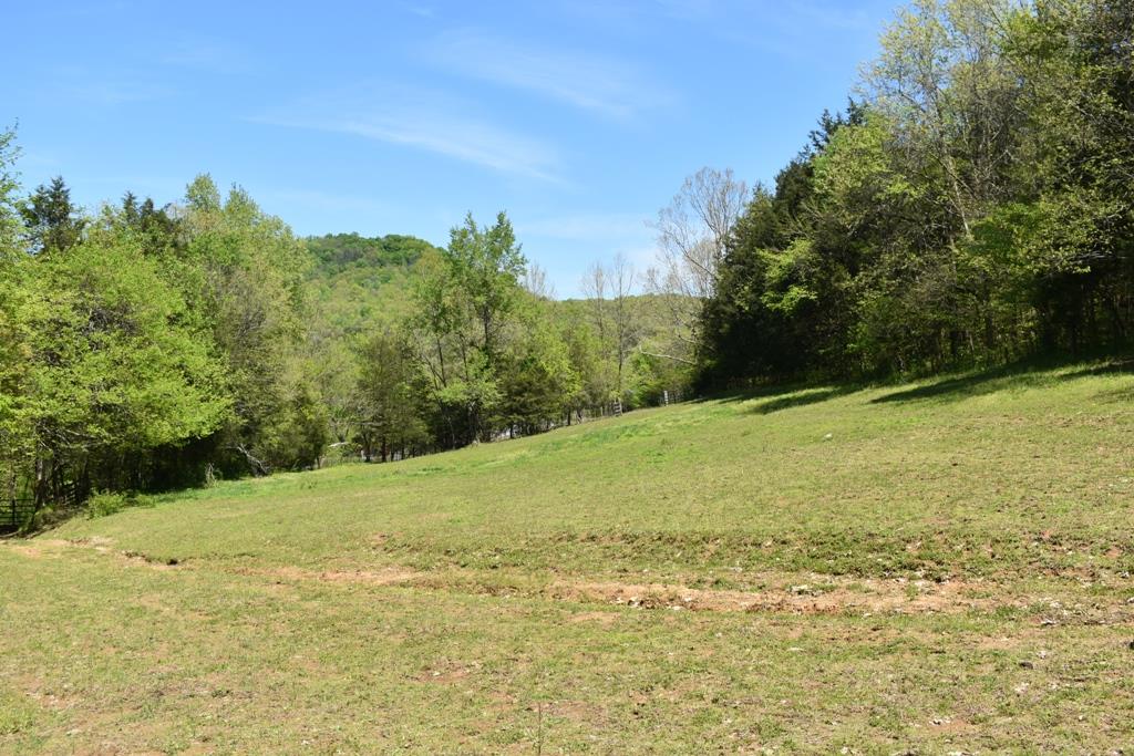 14436 Indian Springs Road Buffalo Valley, TN 38548 - Photo 17 of 24 a view of a field with an ocean